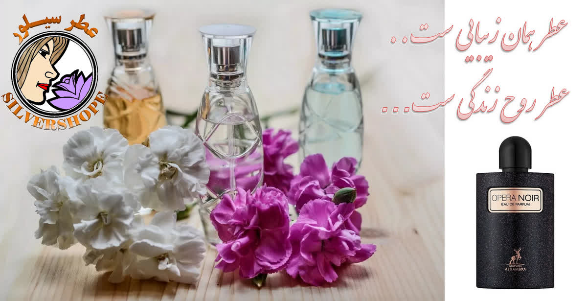 بنر معرفی سیلورشاپ silvershope